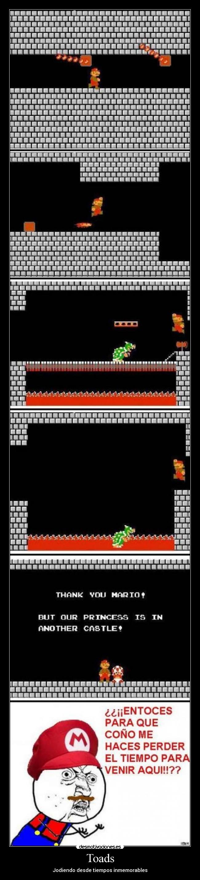 Toads - Jodiendo desde tiempos inmemorables