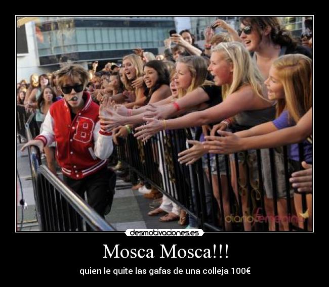 Mosca Mosca!!! -