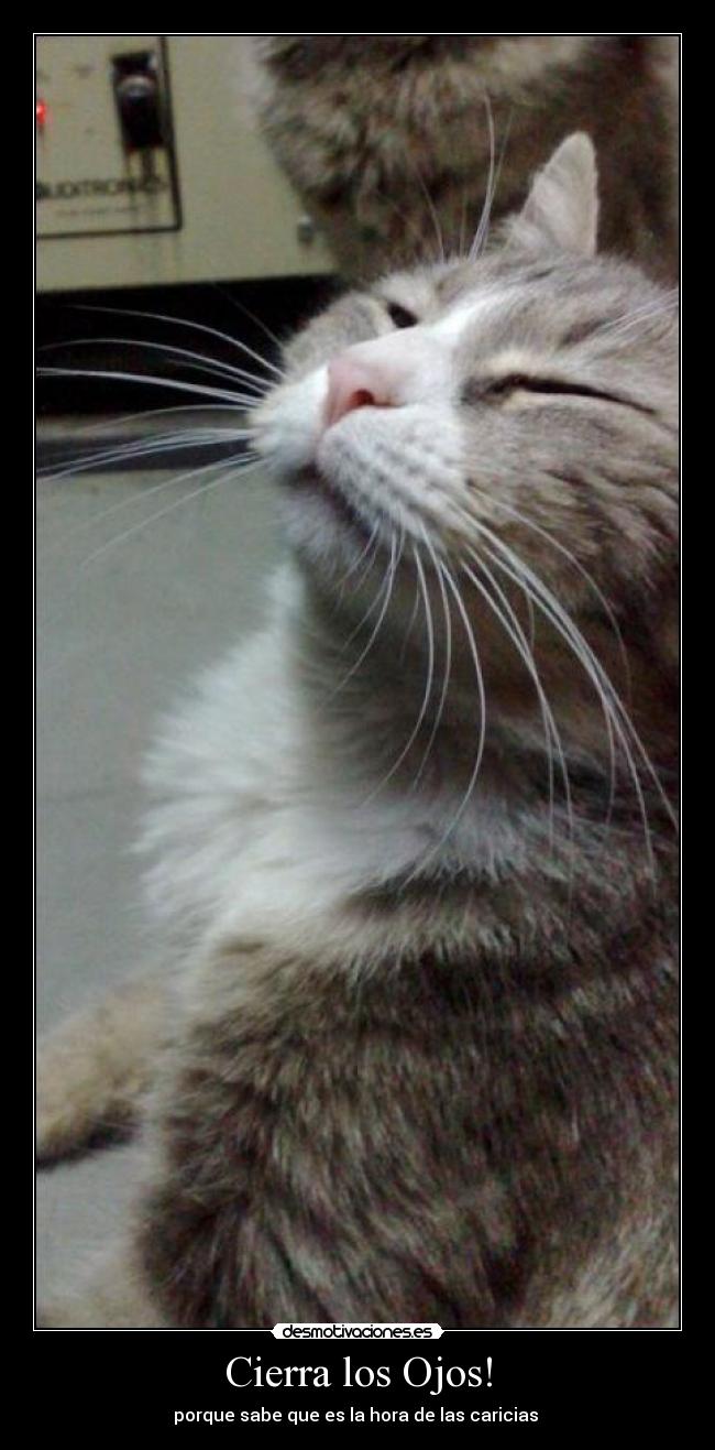 carteles cierra los ojos desmotivaciones