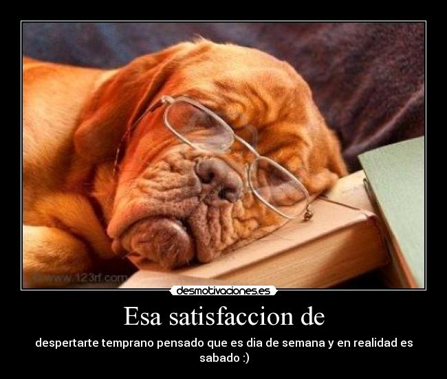 Esa satisfaccion de - despertarte temprano pensado que es dia de semana y en realidad es sabado :)