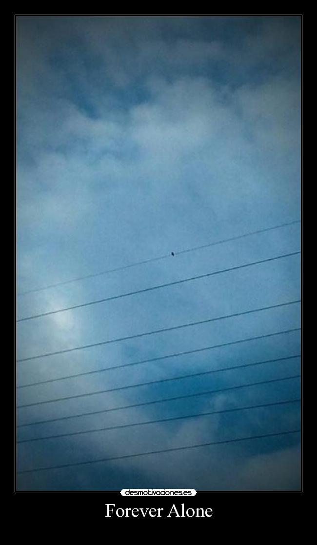 Forever Alone -