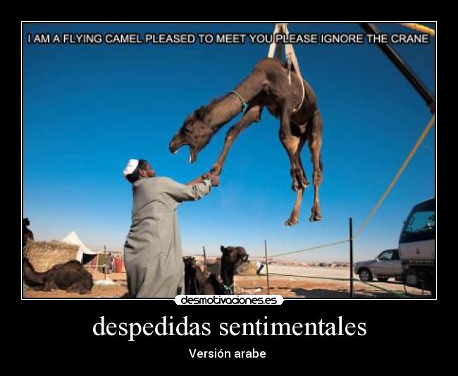 despedidas sentimentales - Versión arabe