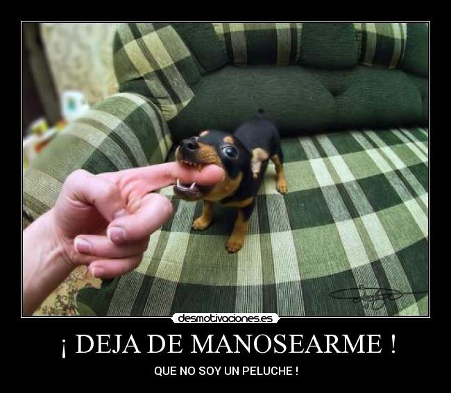 ¡ DEJA DE MANOSEARME ! - 