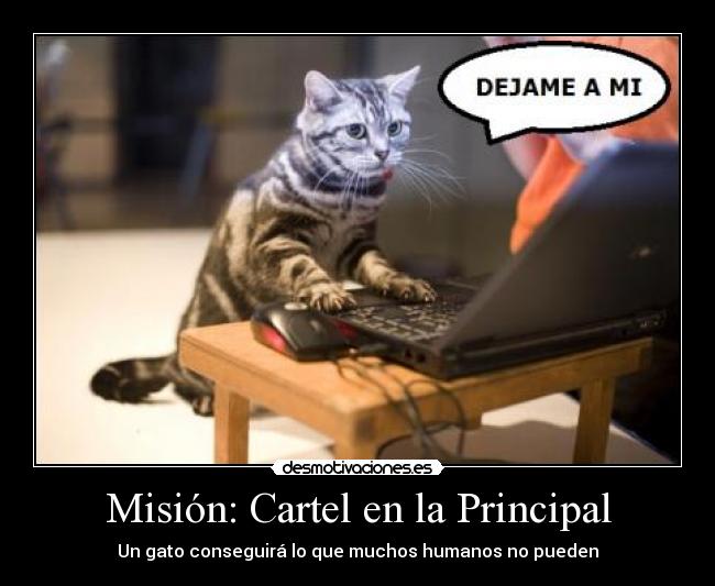 Misión: Cartel en la Principal - Un gato conseguirá lo que muchos humanos no pueden