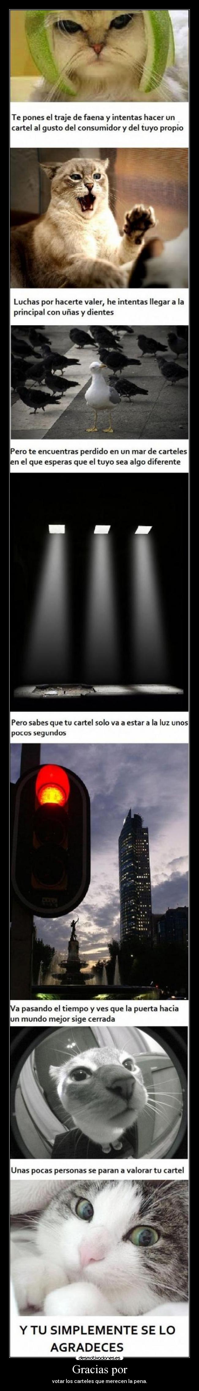 Gracias por - votar los carteles que merecen la pena.