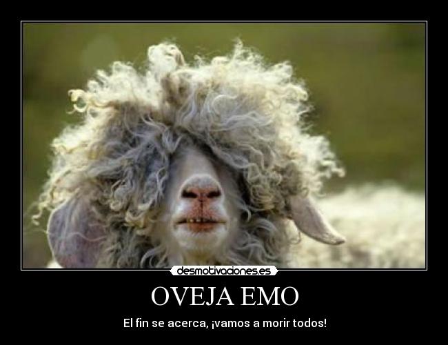 OVEJA EMO -