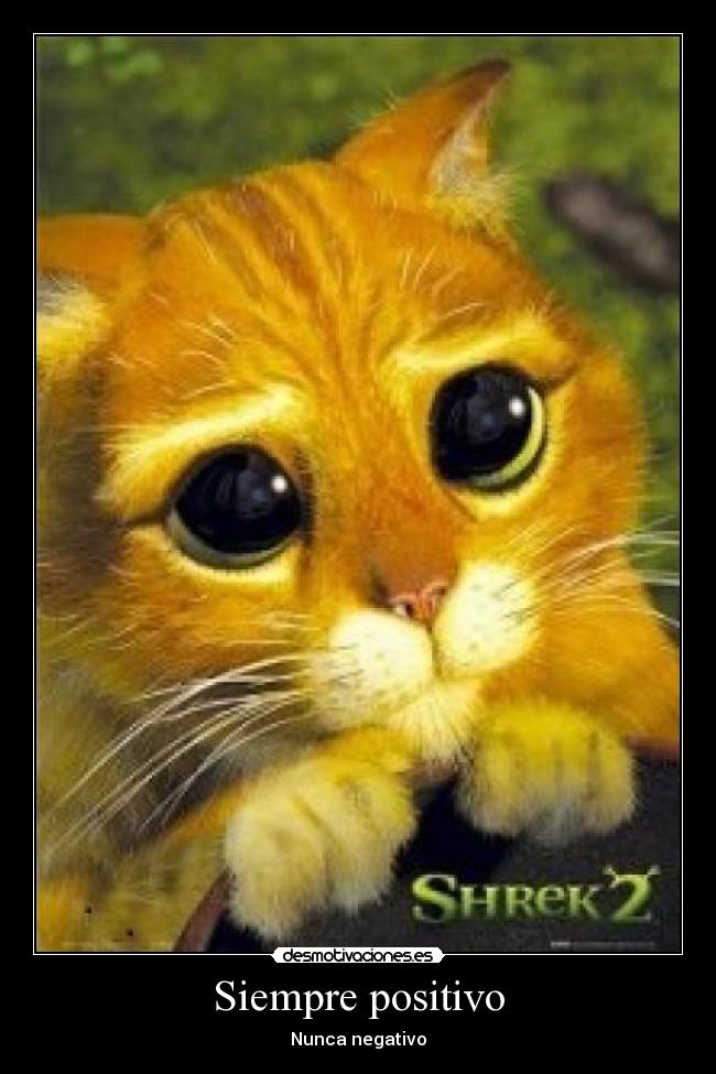 Siempre positivo - Nunca negativo