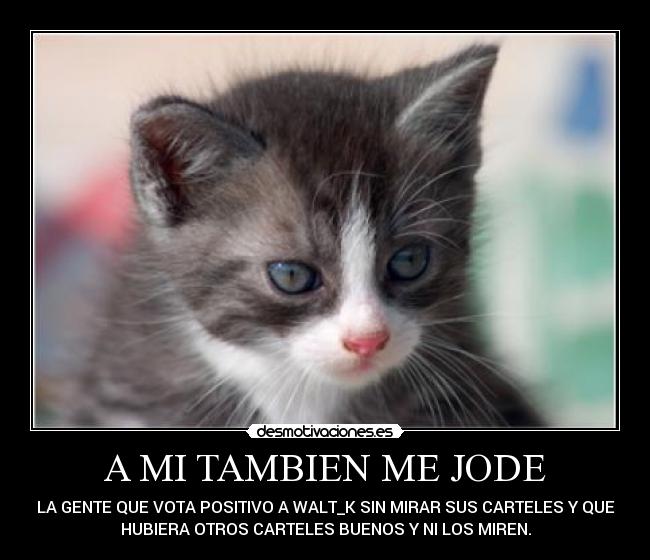 A MI TAMBIEN ME JODE - LA GENTE QUE VOTA POSITIVO A WALT_K SIN MIRAR SUS CARTELES Y QUE
HUBIERA OTROS CARTELES BUENOS Y NI LOS MIREN.