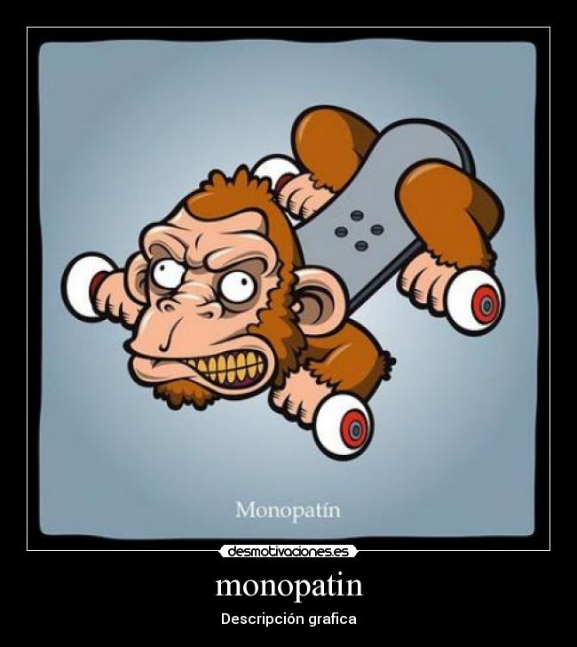 monopatin - Descripción grafica