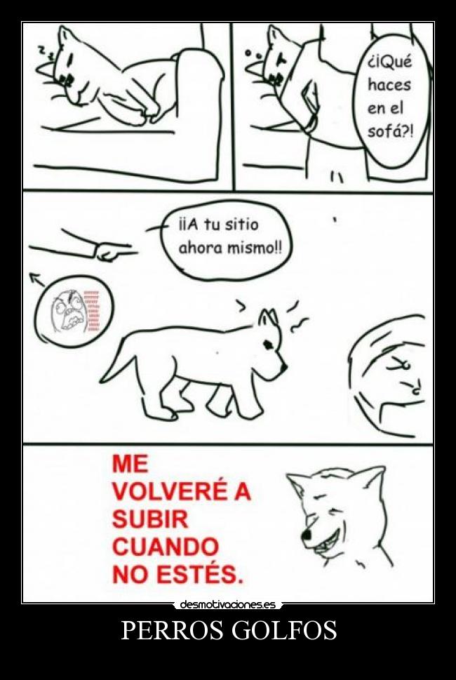 carteles perros desmotivaciones