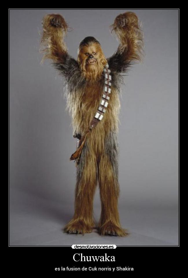 Chuwaka - es la fusion de Cuk norris y Shakira