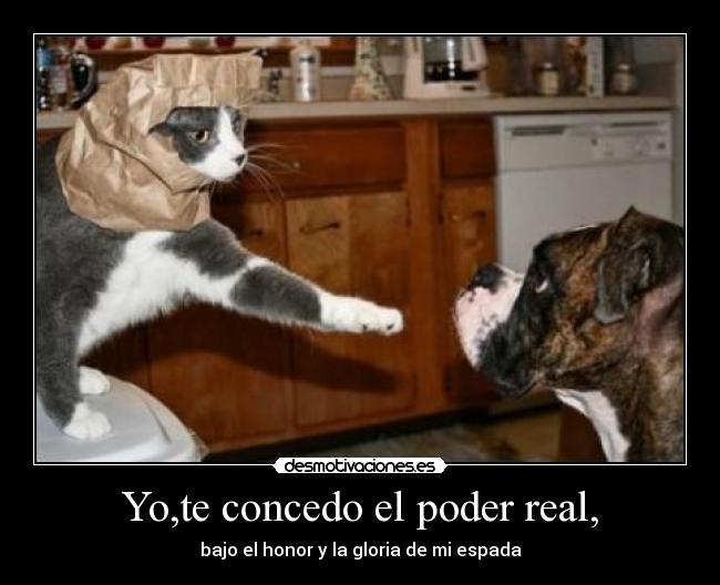 Yo,te concedo el poder real, -