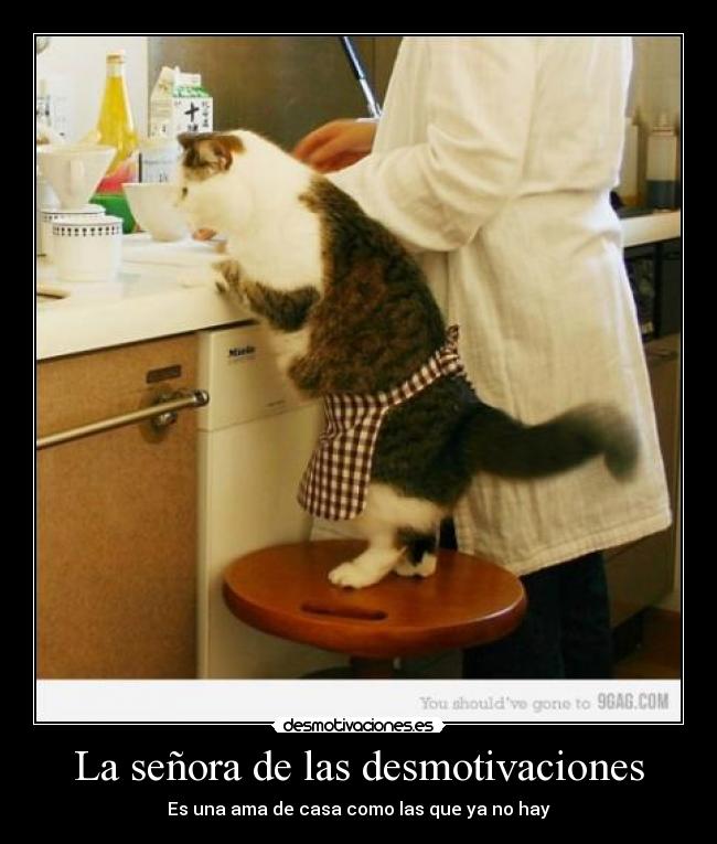 La señora de las desmotivaciones -