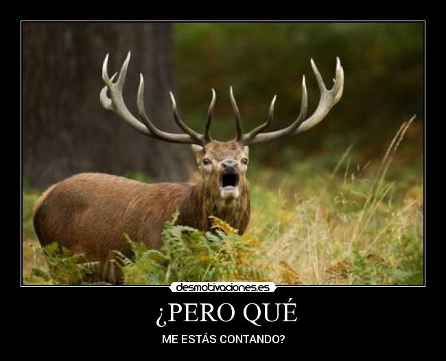 ¿PERO QUÉ - ME ESTÁS CONTANDO?
