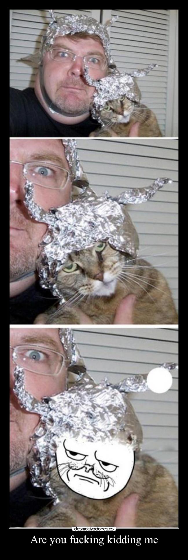 Are you fucking kidding me -