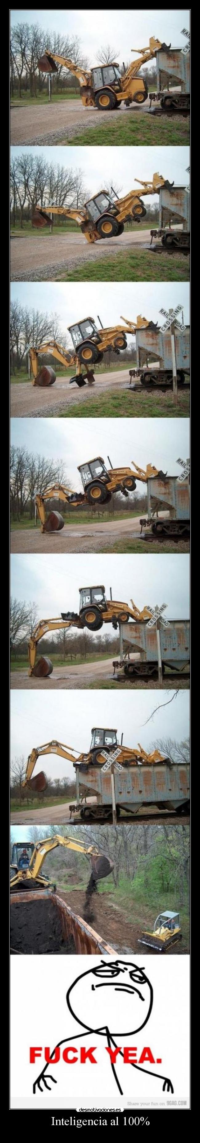 Inteligencia al 100% - 