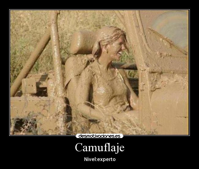 Camuflaje - Nivel:experto