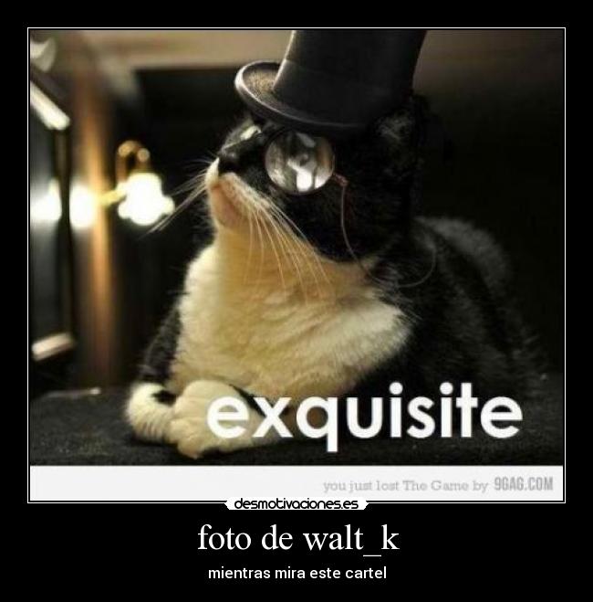 foto de walt_k -