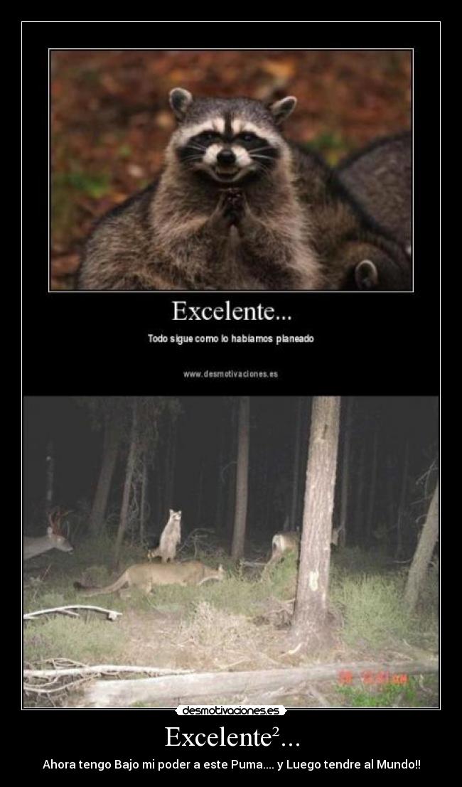 Excelente²... - Ahora tengo Bajo mi poder a este Puma.... y Luego tendre al Mundo!!