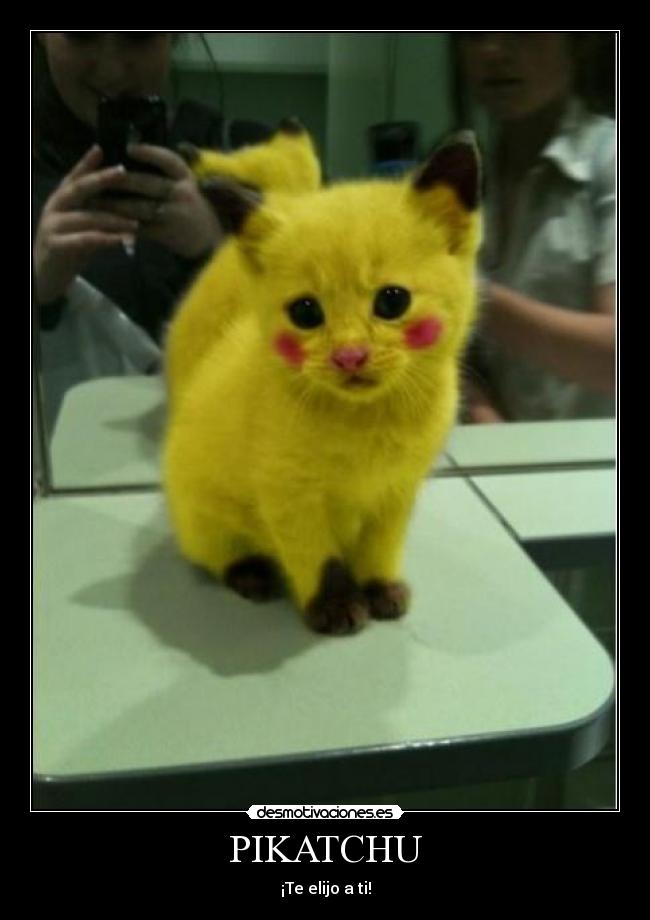 PIKATCHU - 