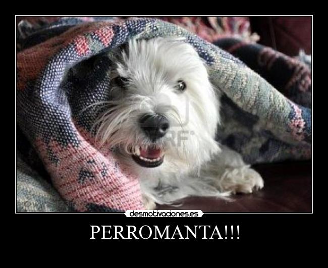 PERROMANTA!!! - 