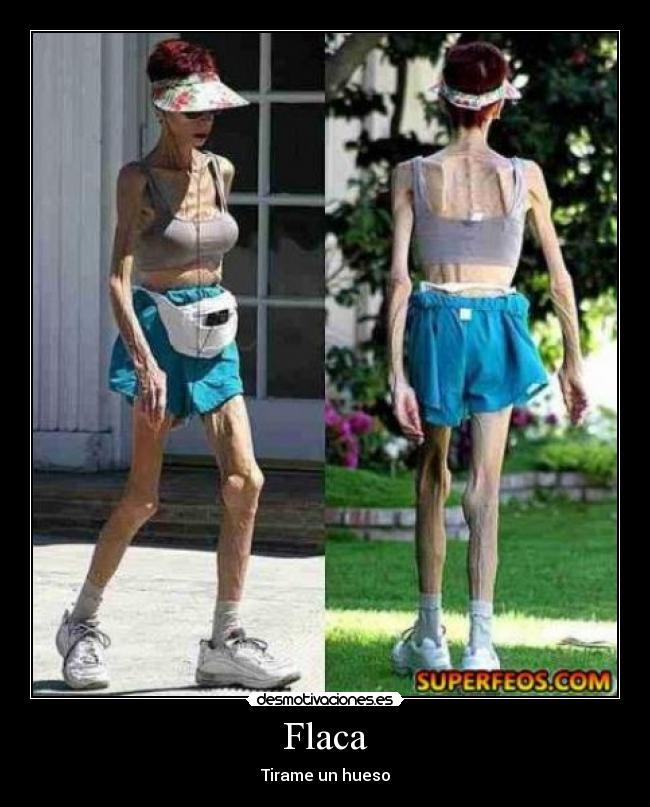 carteles flaca desmotivaciones
