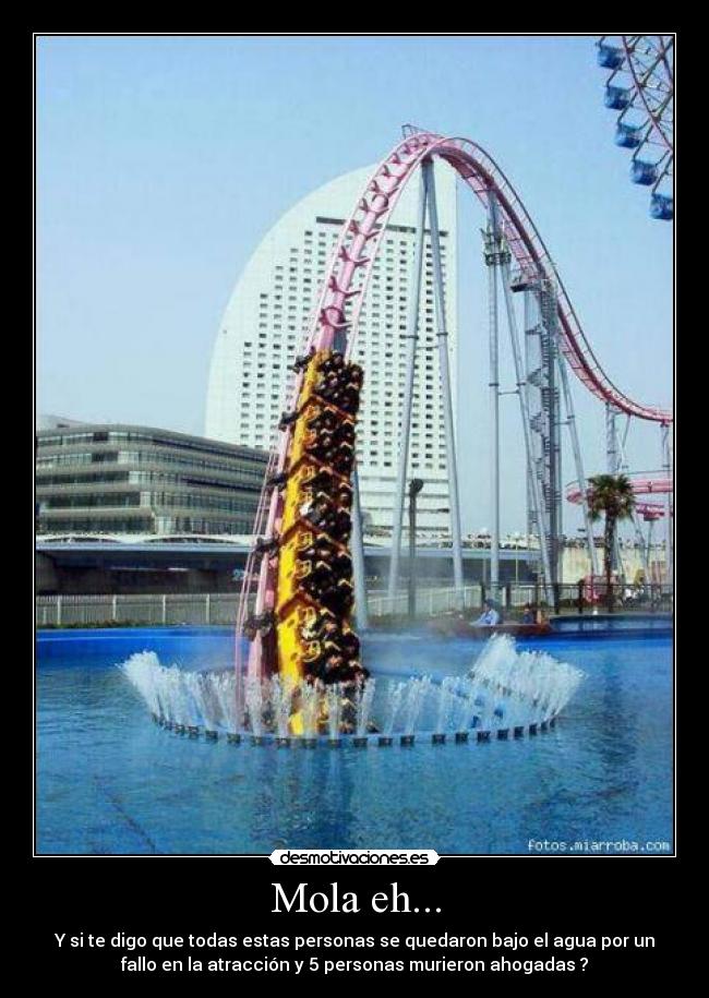 Mola eh... - 