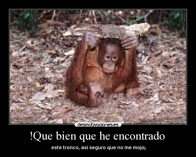 !Que bien que he encontrado -