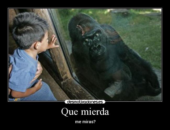 carteles desmotivaciones