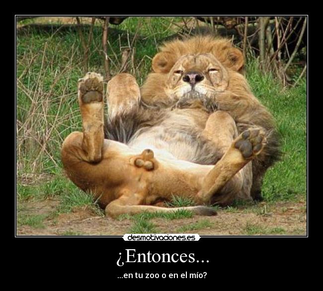 ¿Entonces... -