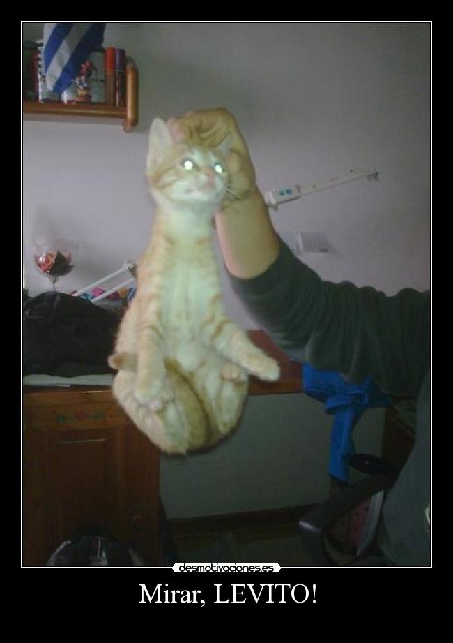 carteles pabloo98 desmotivaciones