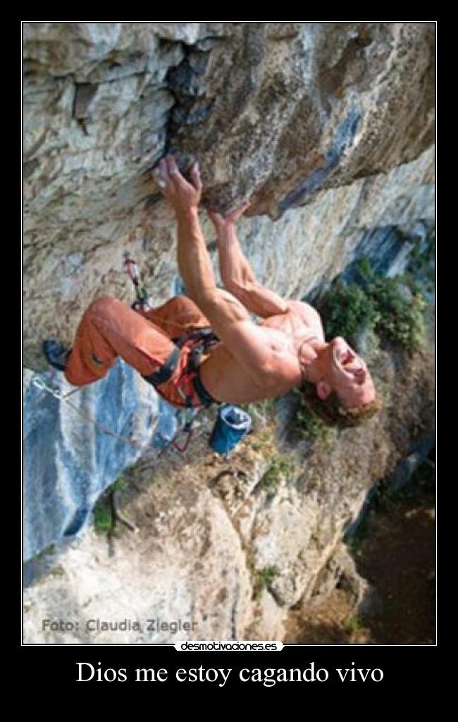 Dios me estoy cagando vivo - 