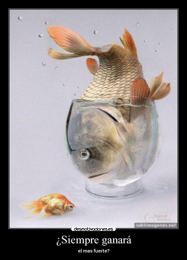 ¿Siempre ganará -