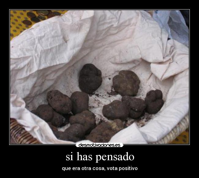 si has pensado -