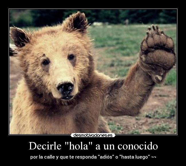 Decirle hola a un conocido - 
