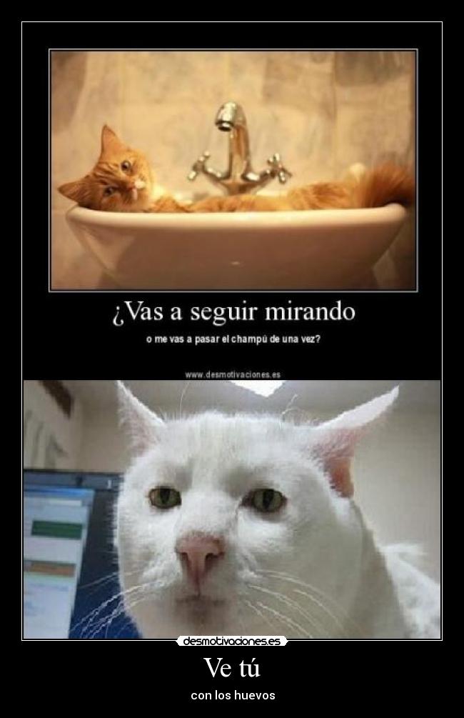 Ve tú - con los huevos