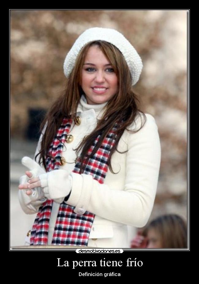 La perra tiene frío - Definición gráfica