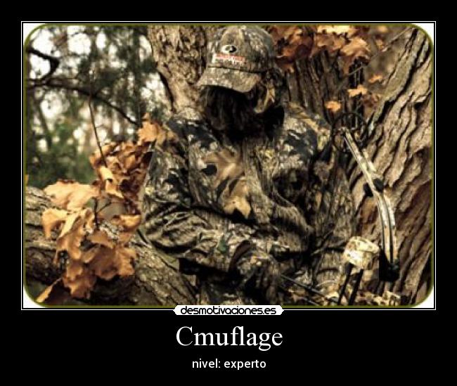 Cmuflage - nivel: experto