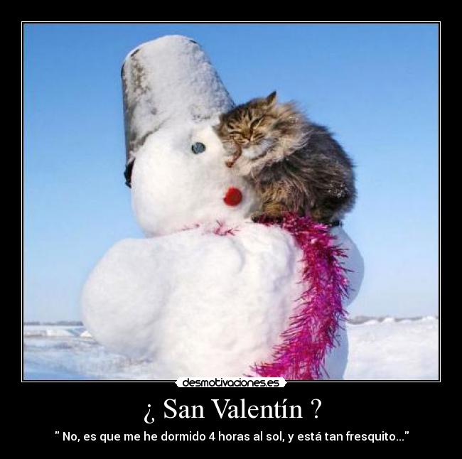 ¿ San Valentín ? -  No, es que me he dormido 4 horas al sol, y está tan fresquito...