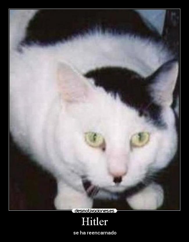 carteles hitler desmotivaciones