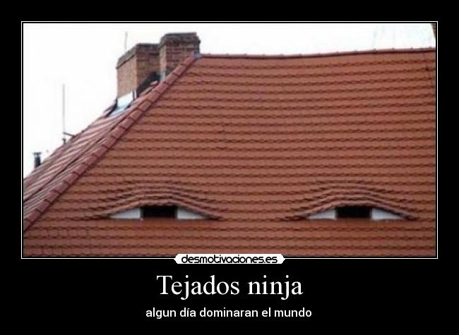 Tejados ninja - algun día dominaran el mundo 