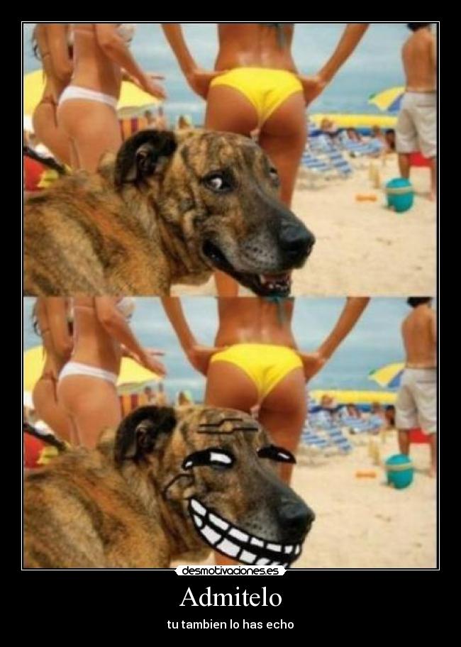 carteles tiasbuenasperrofucktrolltroladmitelotutambienlohasechomotivacion desmotivaciones