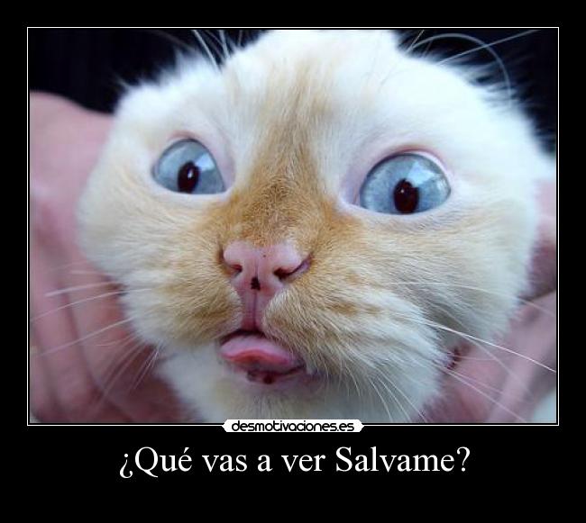 ¿Qué vas a ver Salvame? - 