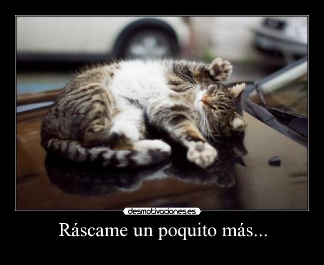 Ráscame un poquito más... -