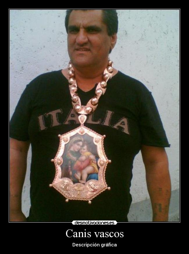 Canis vascos - Descripción gráfica