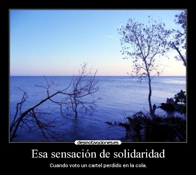 Esa sensación de solidaridad - Cuando voto un cartel perdido en la cola.