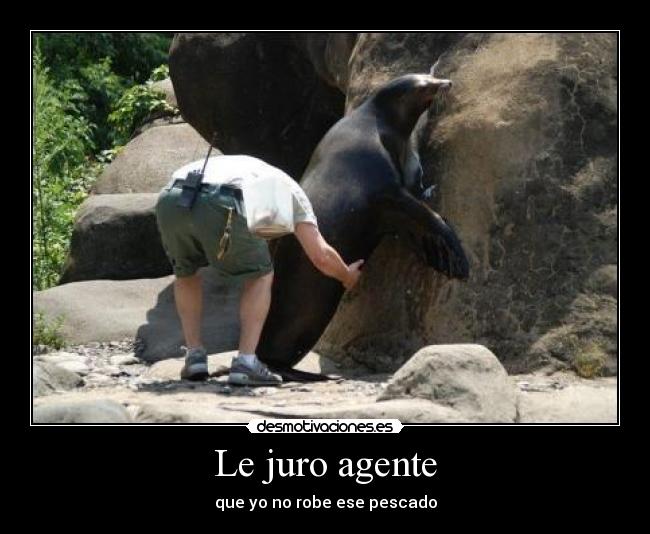Le juro agente - que yo no robe ese pescado