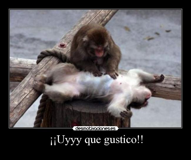 ¡¡Uyyy que gustico!! -