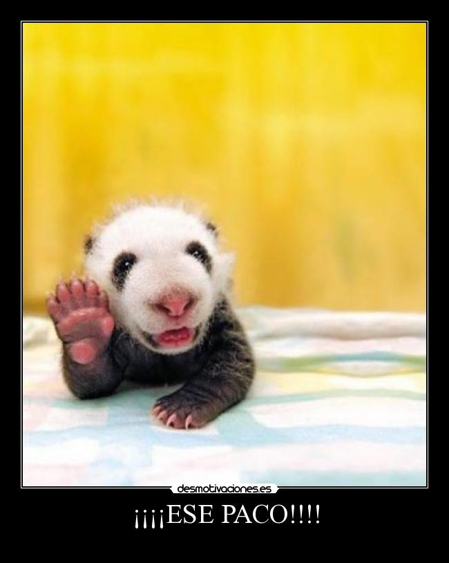¡¡¡¡ESE PACO!!!! -