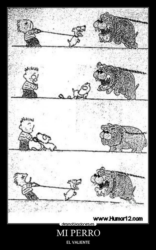 MI PERRO -